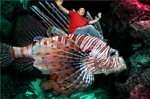 ride on an angelfish!